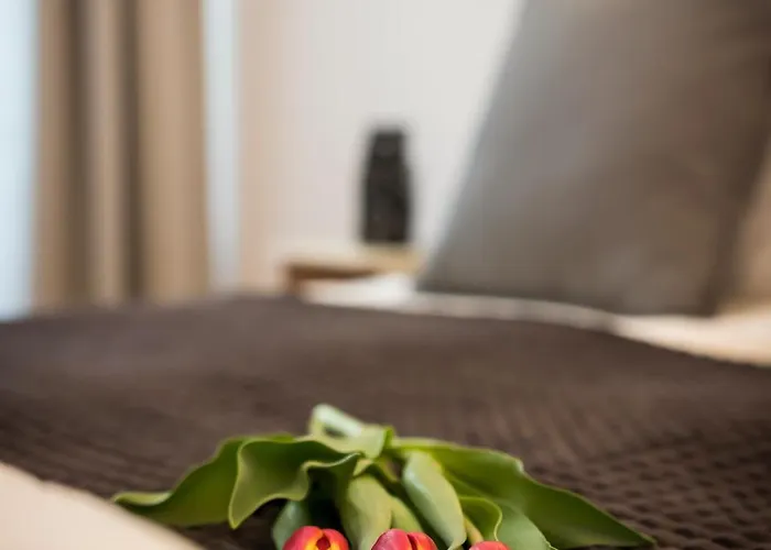 Oasis By Cozyplace *