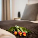 Apartament Oasis By Cozyplace
