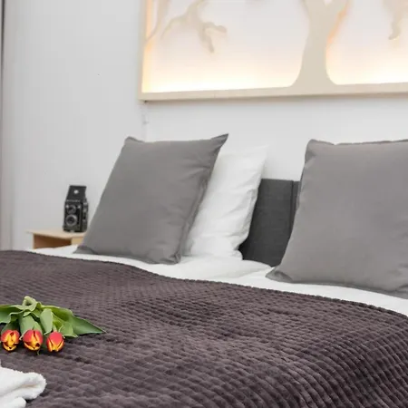 Oasis By Cozyplace * Cracovia