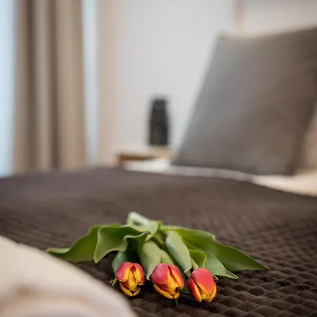 Oasis By Cozyplace 아파트 *