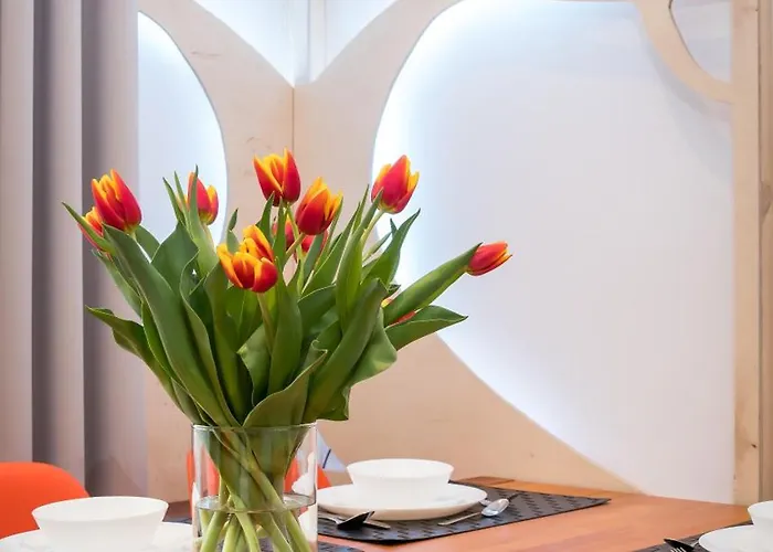 Oasis By Cozyplace كراكوفيا